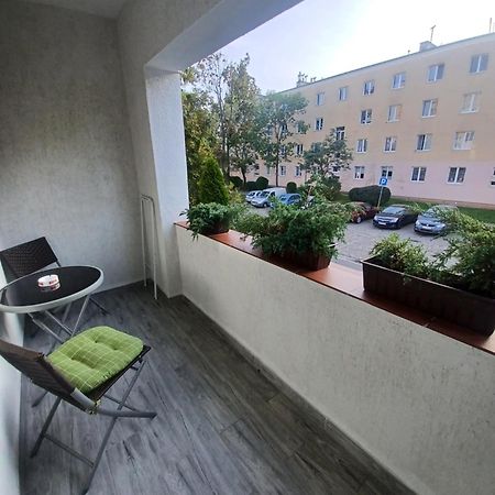 Apartament Lord Stary Toruń Extérieur photo